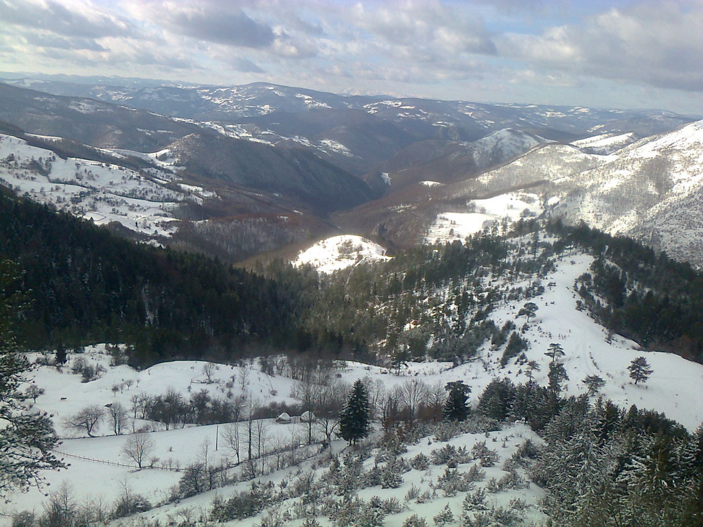 Lovačka sekcija Bare